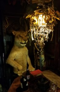 Taxidermy lion and bone chandelier